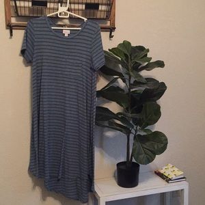 LulaRoe Carly Dress Sz XS